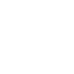 piggy bank icon